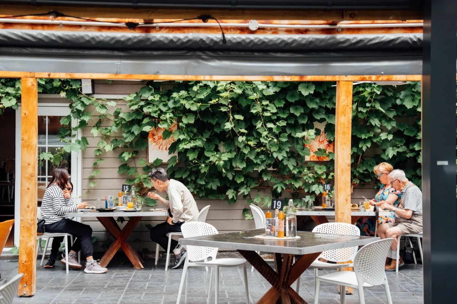 Guests dining under the pergola at Waipara Springs