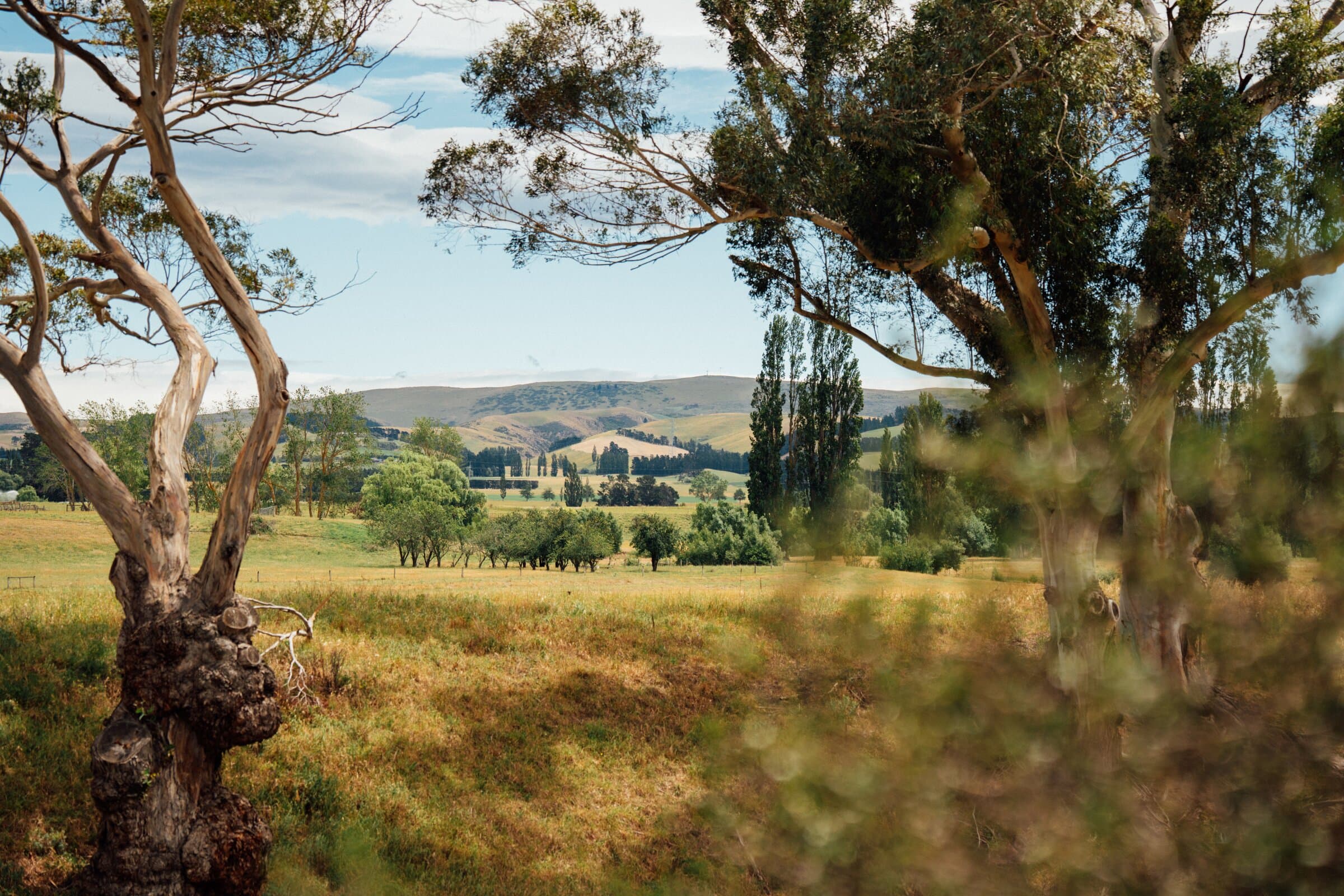 Wine Club Picks: Autumn 2025